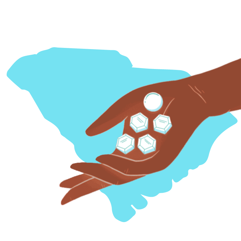 Abortion pill Carolina del Sur