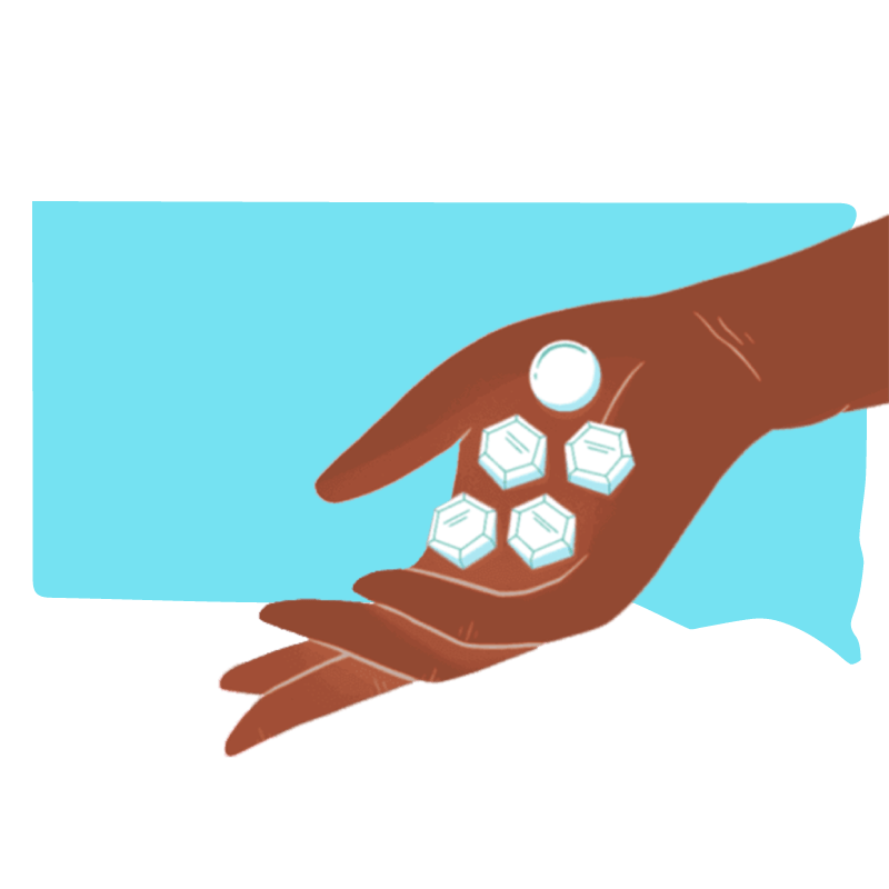 Abortion pill Dakota del Sur