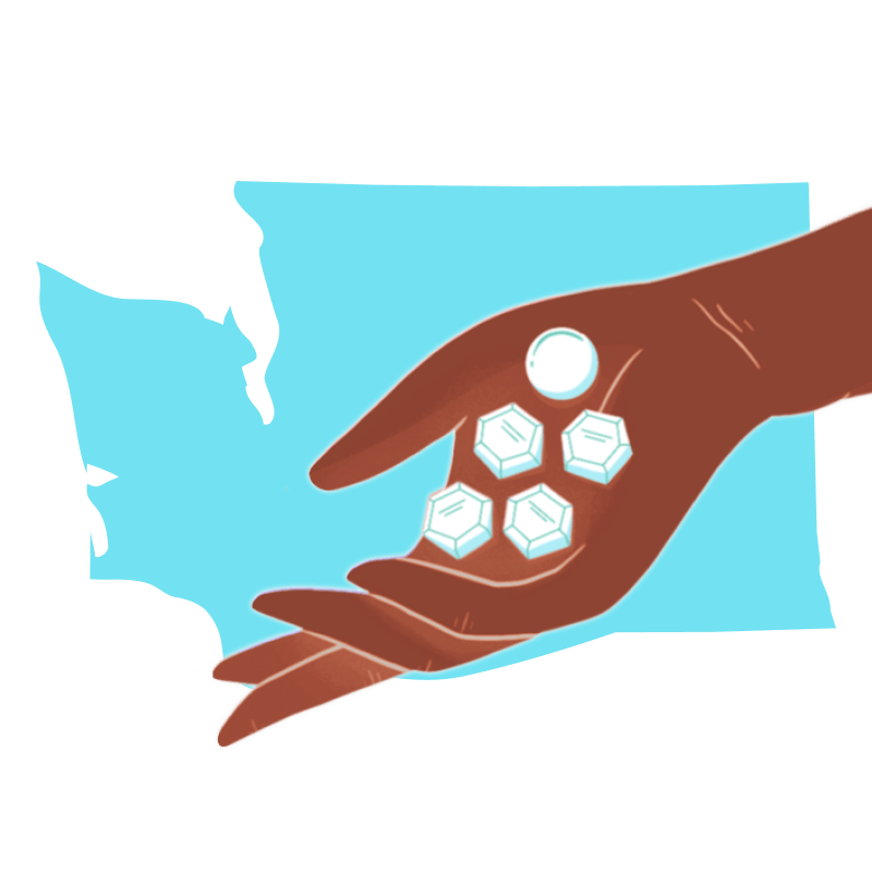 Abortion pill Washington